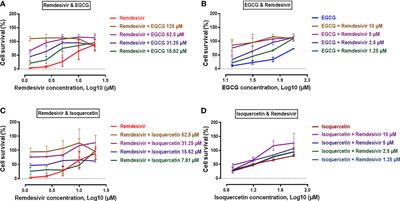 Epigallocatechin Gallate and Isoquercetin Synergize With Remdesivir to Reduce SARS-CoV-2 Replication In Vitro